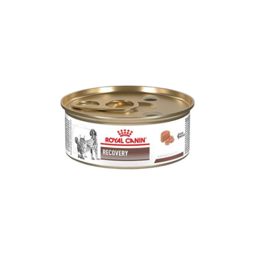 Royal Canin Recovery