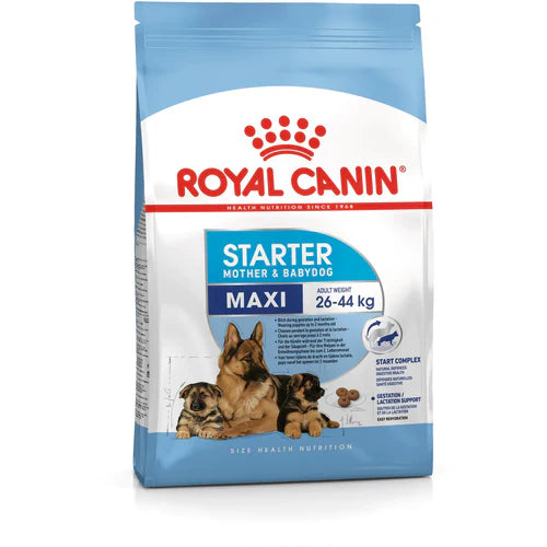 Royal Canin Maxi Starter