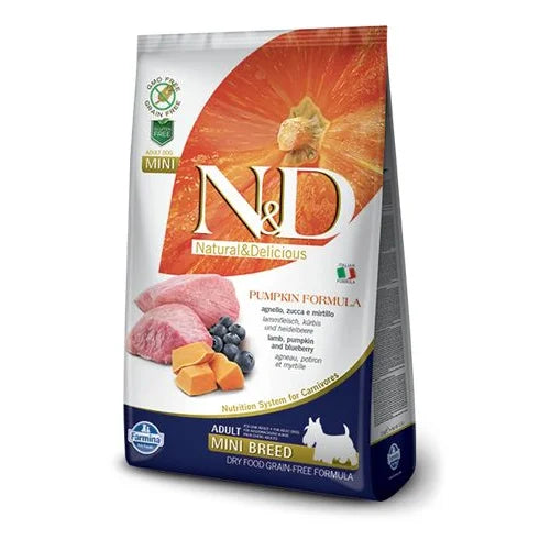 N&D Pumpkin Mini Adult - Jagnjetina